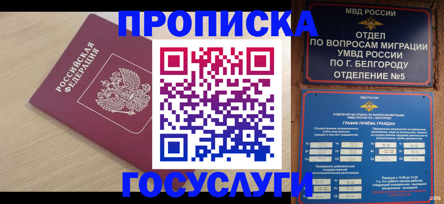 прописка законно в Острове